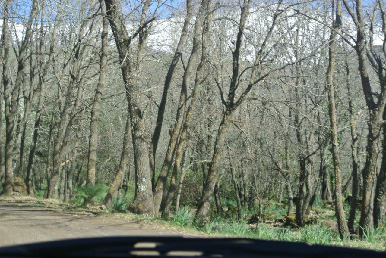 Villa Tranquilla Riposto Dış mekan fotoğraf